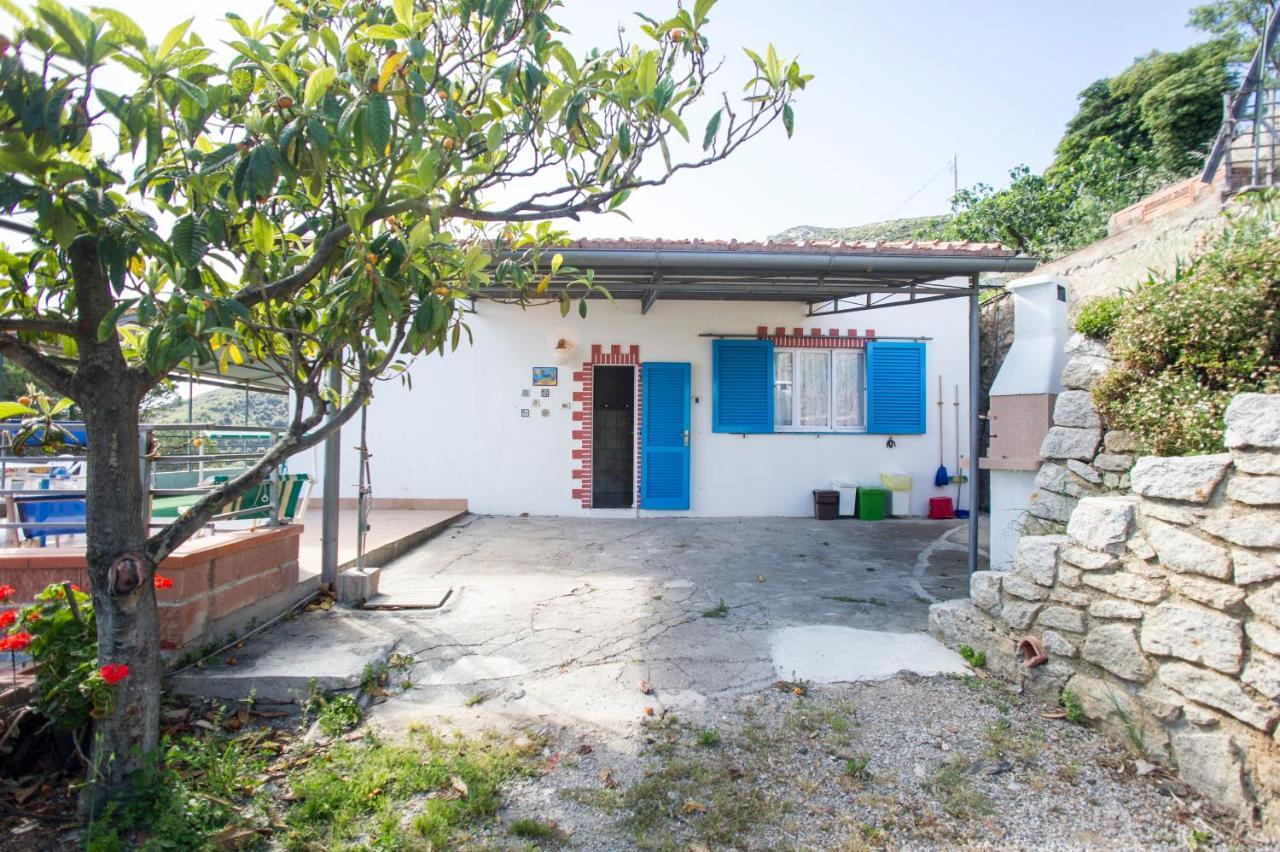 Villa La Terrazza Sul Mare - Goelba Fetovaia Eksteriør billede